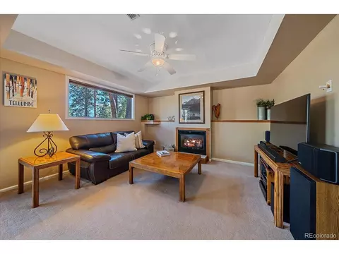 475 Chickadee Ln, Bailey, CO 80421 photo 17
