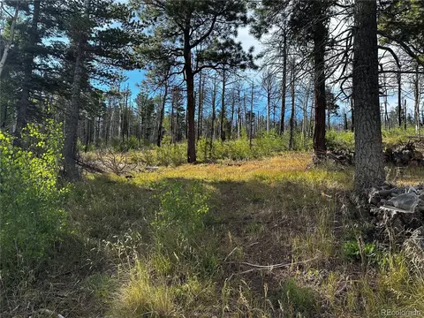 2180 Sigler Dr, Fort Garland, CO 81133