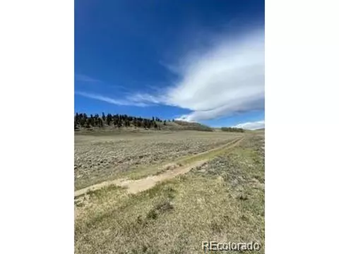 0 Coochie, Hartsel, CO 80449 photo 6