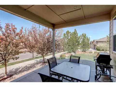8255 E 150th Pl, Thornton, CO 80602 photo 21