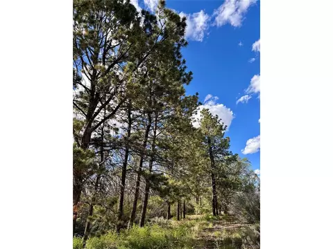 County Road P, San Luis, CO 81152
