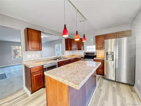 18656 E 40th Pl, Denver, CO 80249 photo 9