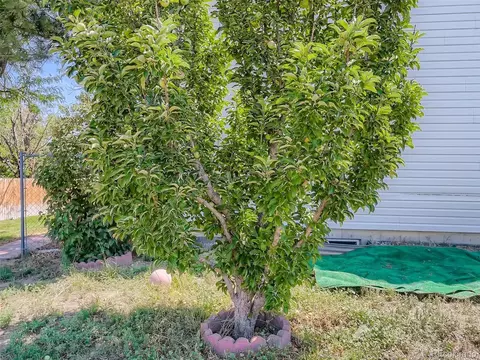 16983 E Ithaca Cir, Aurora, CO 80013 photo 24