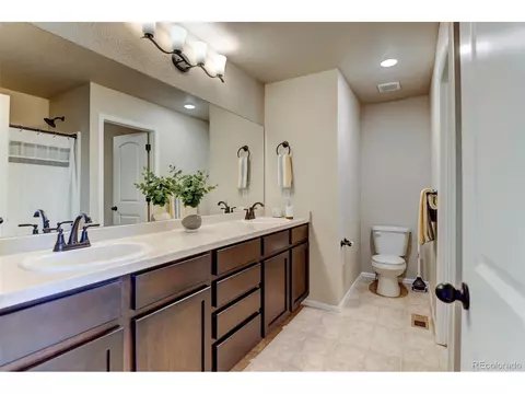 684 Finch Dr, Severance, CO 80550 photo 21