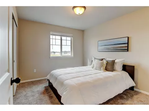 684 Finch Dr, Severance, CO 80550 photo 24