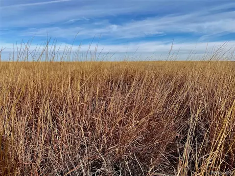 County Road 56, Walsh, CO 81090