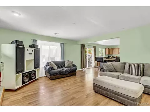 21582 E 50th Pl, Denver, CO 80249 photo 14