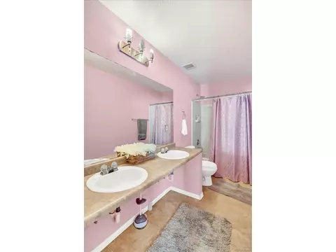 21582 E 50th Pl, Denver, CO 80249 photo 32