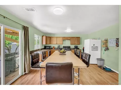 21582 E 50th Pl, Denver, CO 80249 photo 11
