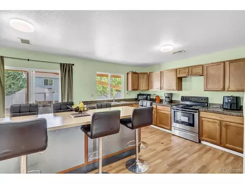 21582 E 50th Pl, Denver, CO 80249 photo 9