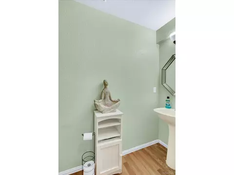 21582 E 50th Pl, Denver, CO 80249 photo 17