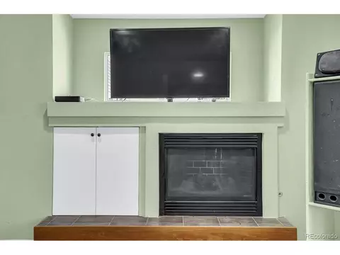 21582 E 50th Pl, Denver, CO 80249 photo 15