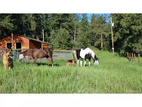 1490 Nova Rd, Pine, CO 80470 photo 2