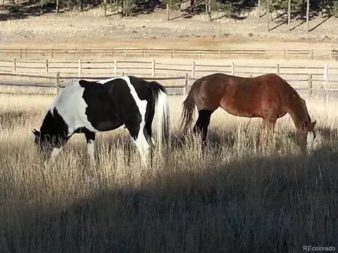 1490 Nova Rd, Pine, CO 80470 photo 33