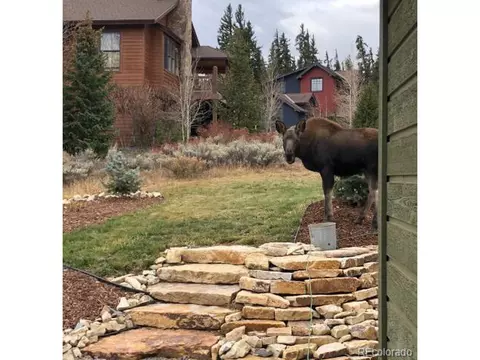 49 Legend Cir, Dillon, CO 80435 photo 26