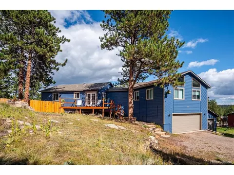 Exterior - 153 Chickadee Ln, Bailey, CO 80421 photo 6 of 12