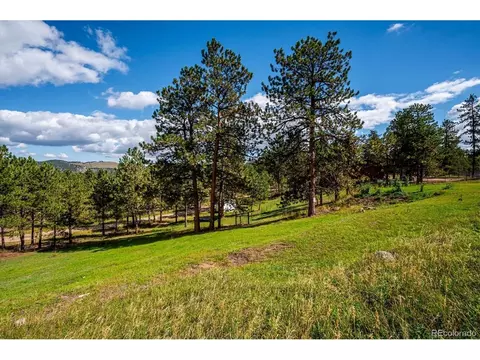 Exterior - 153 Chickadee Ln, Bailey, CO 80421 photo 11 of 12