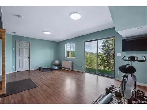 Other - 153 Chickadee Ln, Bailey, CO 80421 photo 5 of 8