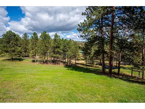 Exterior - 153 Chickadee Ln, Bailey, CO 80421 photo 10 of 12