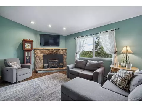Living - 153 Chickadee Ln, Bailey, CO 80421 photo 3 of 4