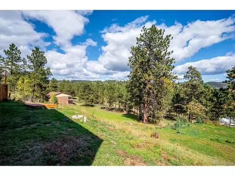 Exterior - 153 Chickadee Ln, Bailey, CO 80421 photo 12 of 12