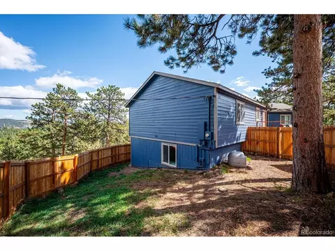 Exterior - 153 Chickadee Ln, Bailey, CO 80421 photo 9 of 12