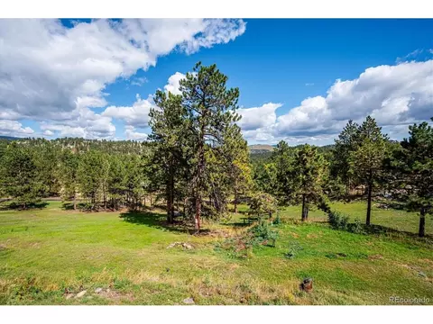 Exterior - 153 Chickadee Ln, Bailey, CO 80421 photo 8 of 12