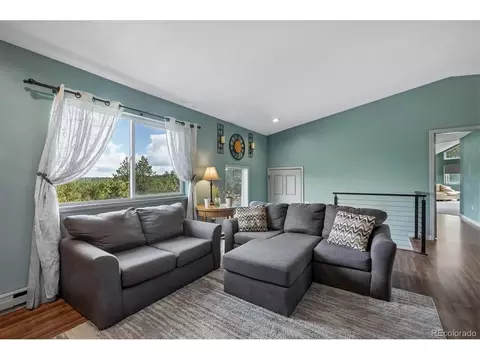 Living - 153 Chickadee Ln, Bailey, CO 80421 photo 2 of 4