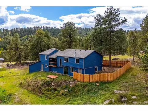 Other - 153 Chickadee Ln, Bailey, CO 80421 photo 8 of 8