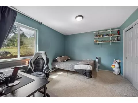 Bedroom - 153 Chickadee Ln, Bailey, CO 80421 photo 3 of 5