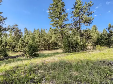 38 Lakeshore Park Rd, Boulder, CO 80302 photo 16