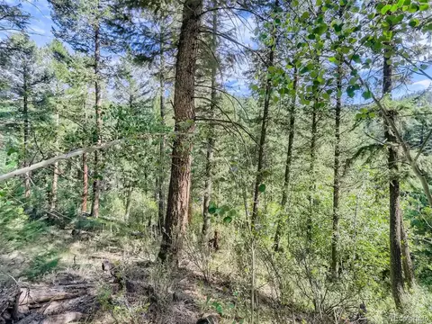 38 Lakeshore Park Rd, Boulder, CO 80302 photo 22