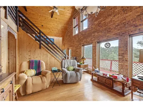 64 Zip Ln, Bailey, CO 80421 photo 17