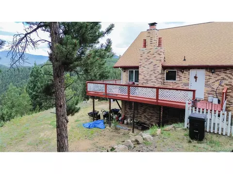 64 Zip Ln, Bailey, CO 80421 photo 4