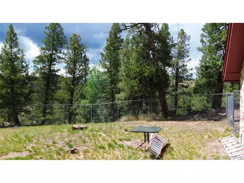 64 Zip Ln, Bailey, CO 80421 photo 6
