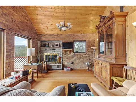 64 Zip Ln, Bailey, CO 80421 photo 16