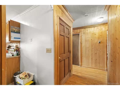 64 Zip Ln, Bailey, CO 80421 photo 11