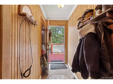 64 Zip Ln, Bailey, CO 80421 photo 28
