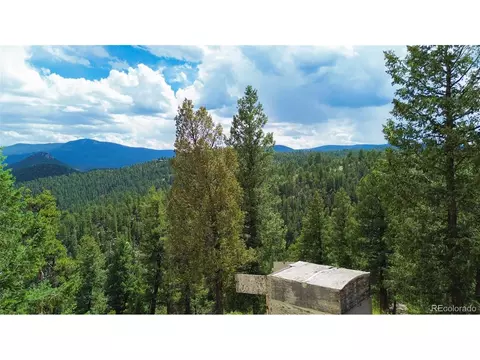 64 Zip Ln, Bailey, CO 80421 photo 5