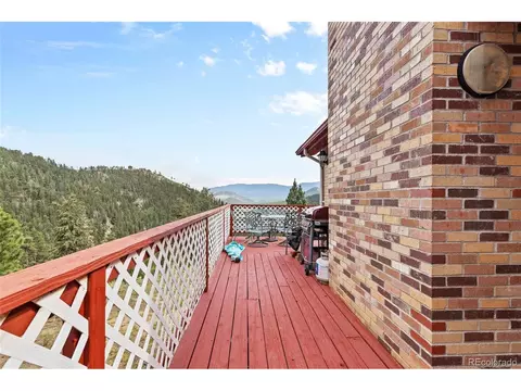 64 Zip Ln, Bailey, CO 80421 photo 27