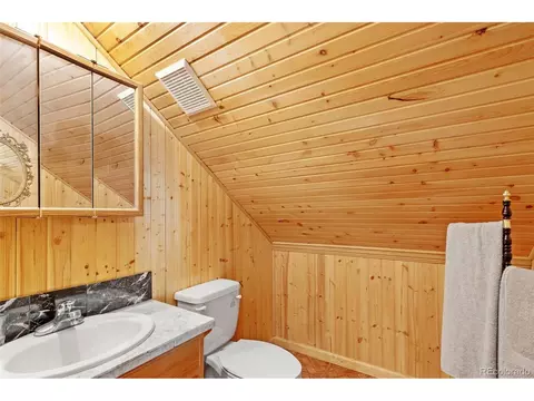 64 Zip Ln, Bailey, CO 80421 photo 22