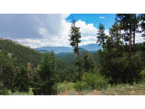 64 Zip Ln, Bailey, CO 80421 photo 2
