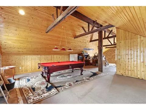 64 Zip Ln, Bailey, CO 80421 photo 19