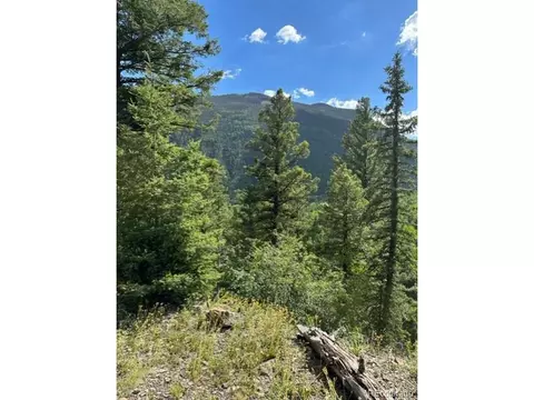 0 Deer St, Jasper, CO 81132 photo 8