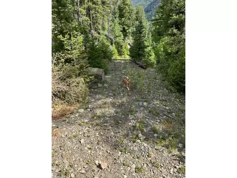 0 Deer St, Jasper, CO 81132 photo 9