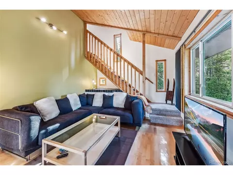 1038 Gold Pan Ln, Fairplay, CO 80440 photo 18