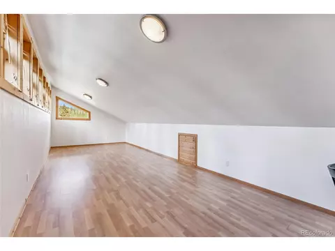 1038 Gold Pan Ln, Fairplay, CO 80440 photo 27