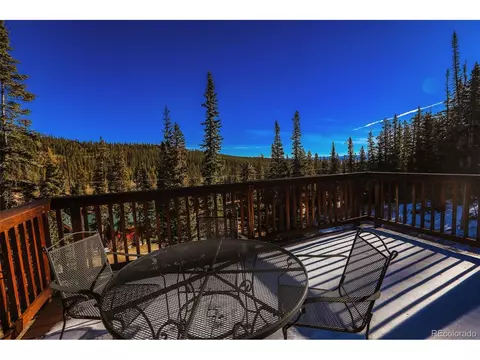 1038 Gold Pan Ln, Fairplay, CO 80440 photo 50