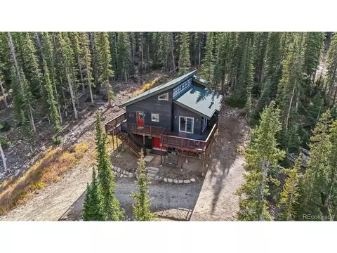 1038 Gold Pan Ln, Fairplay, CO 80440 photo 48