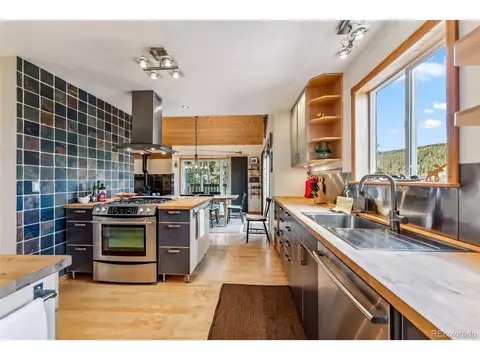 1038 Gold Pan Ln, Fairplay, CO 80440 photo 5